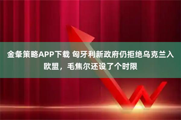 金夆策略APP下载 匈牙利新政府仍拒绝乌克兰入欧盟，毛焦尔还设了个时限