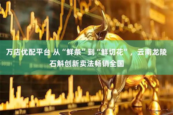 万店优配平台 从“鲜条”到“鲜切花”，云南龙陵石斛创新卖法畅销全国