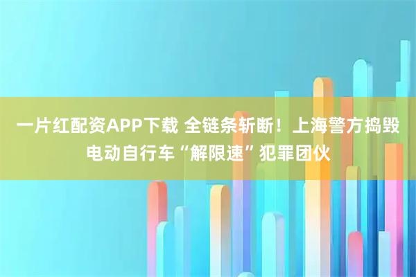 一片红配资APP下载 全链条斩断！上海警方捣毁电动自行车“解限速”犯罪团伙